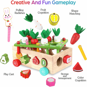 Toddlers Montessori Wooden