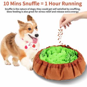 2IN1 Dog Pet Snuffle Mat